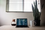 A laptop with code displayed on the screen sits on a wooden desk, accompanied by a Chemex coffee maker containing dark coffee and a white textured mug. A large snake plant in a black pot is placed to the right. Light filters through horizontal blinds on the window behind.