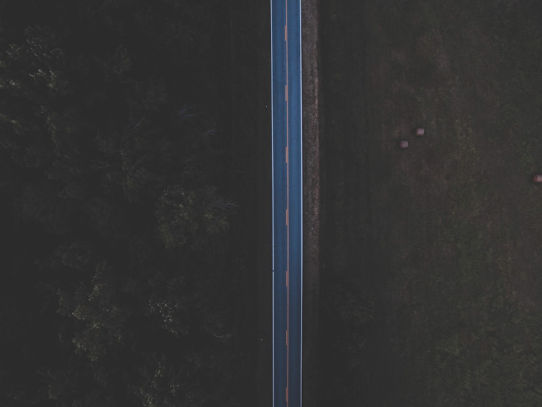 aerial photography of road between grass and trees