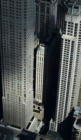 aerial view photography of city buildings