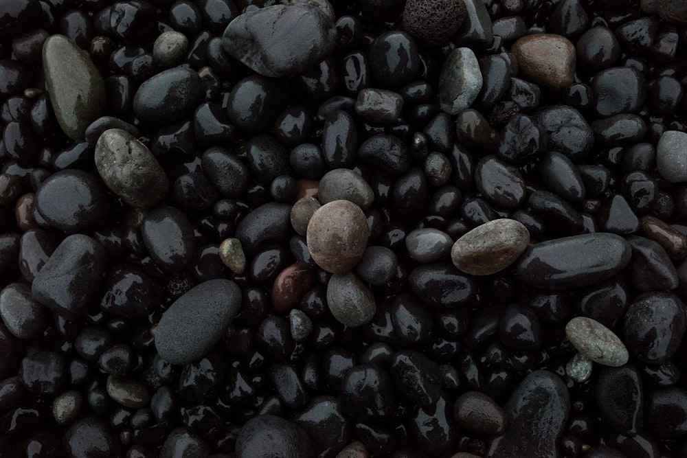 brown gray and black stones