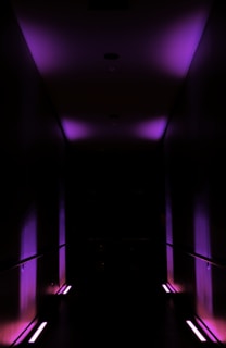 A futuristic hospital corridor with subtle purple and blue lighting, highlighting digital signage integrated with panthrxc technology.