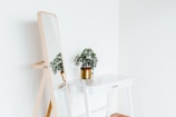 Inviting workspace corner with white walls and a small plant adding a touch of green