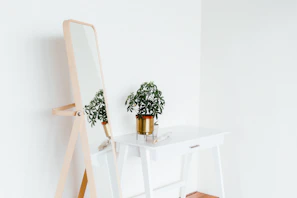 Minimalist room corner with a small wooden desk and a plant.