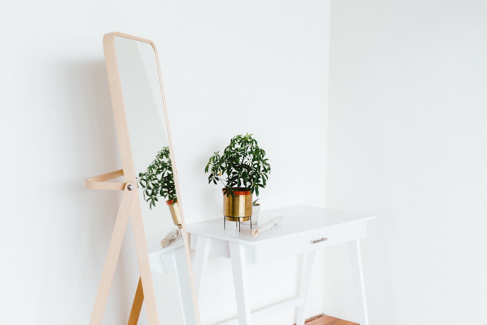 potted plant on side table