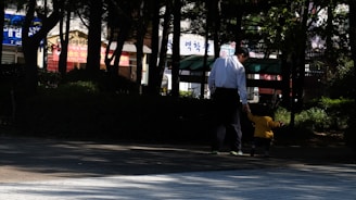 A father and son walking together in a city park.