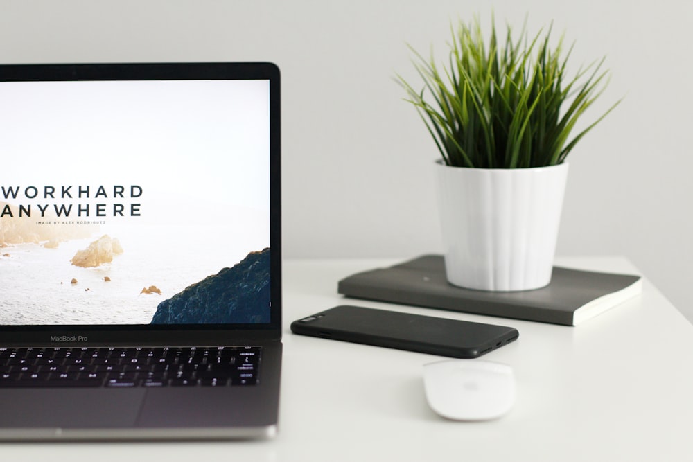 A potted plant on a notebook next to an iPhone and a MacBook