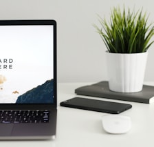 MacBook Pro near green potted plant on table