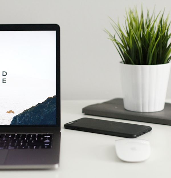 MacBook Pro near green potted plant on table