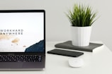 MacBook Pro near green potted plant on table