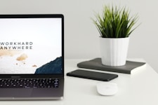 laptop on a table next to a plant