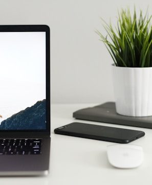 MacBook Pro near green potted plant on table