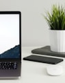 MacBook Pro near green potted plant on table