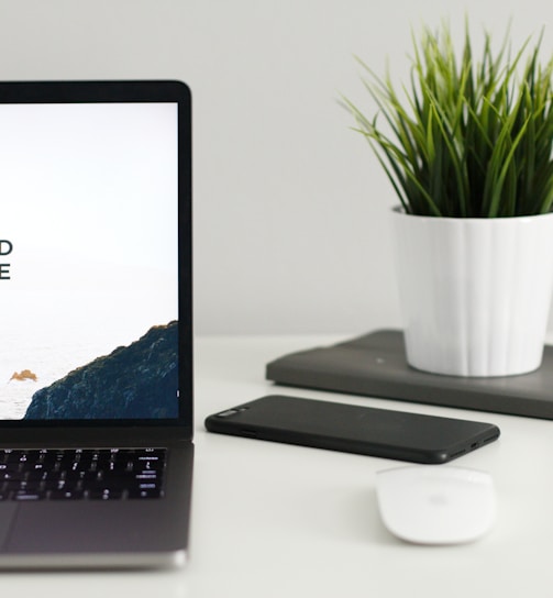 MacBook Pro near green potted plant on table