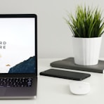 MacBook Pro near green potted plant on table