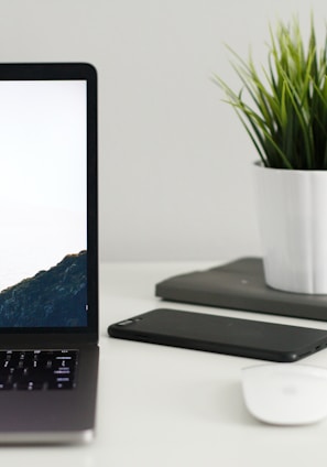 MacBook Pro near green potted plant on table