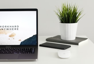 MacBook Pro near green potted plant on table