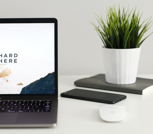 MacBook Pro near green potted plant on table