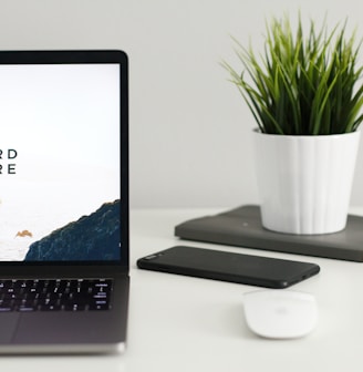 MacBook Pro near green potted plant on table