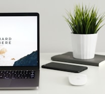 MacBook Pro near green potted plant on table