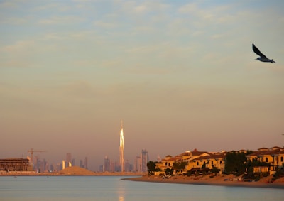 A tranquil seaside scene at sunset with a seagull flying in the sky. Elegant villas line the sandy coastline on the right, while the city skyline, with a tall skyscraper glinting in the sunlight, is visible in the background. The calm water reflects the warm hues of the sky.