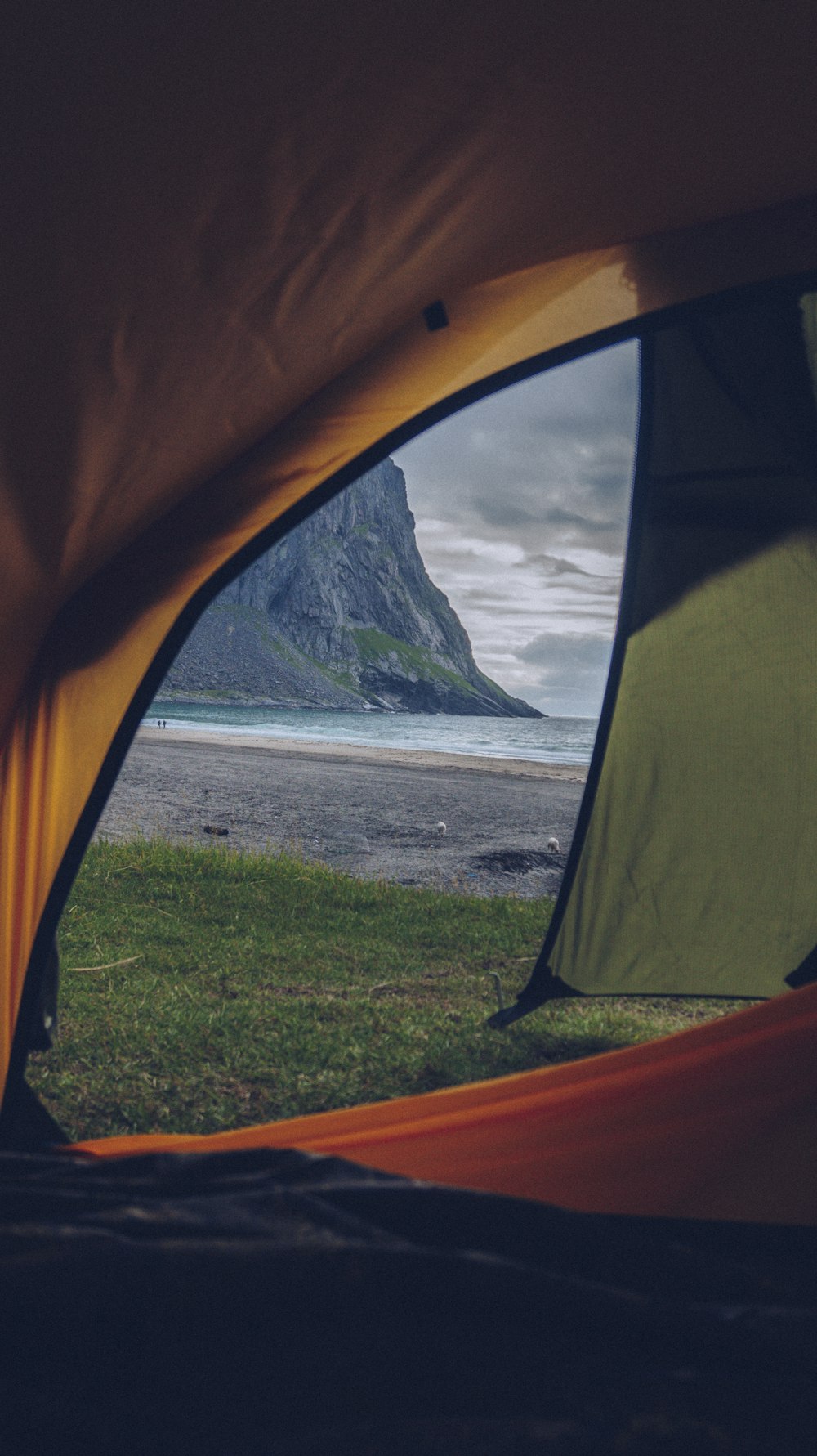 orange, green, and black tent