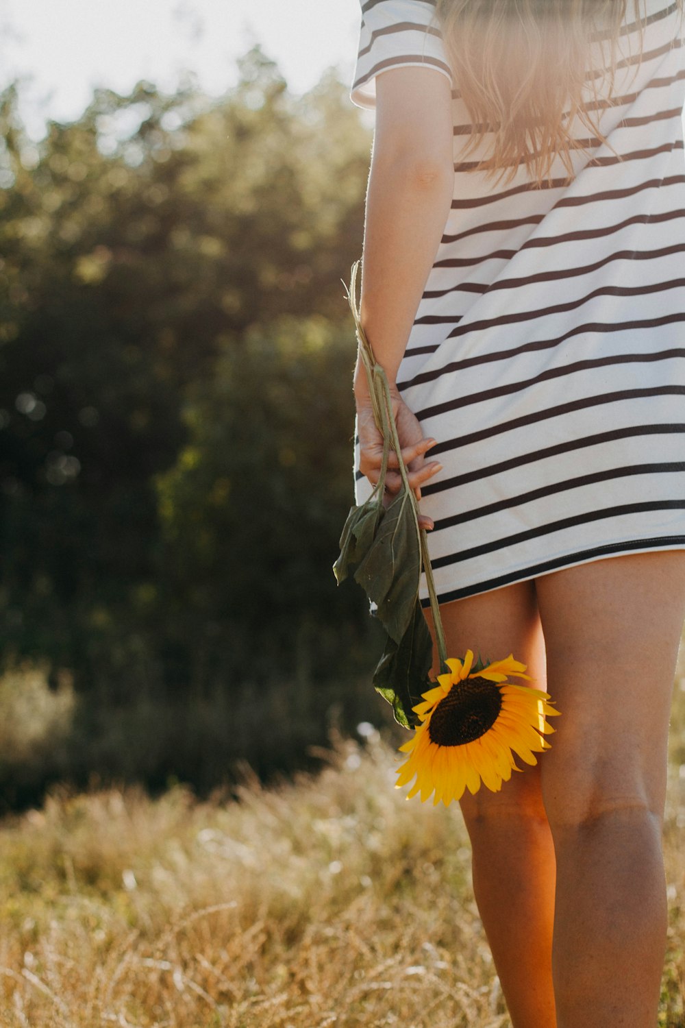woman holding sunflower while walking