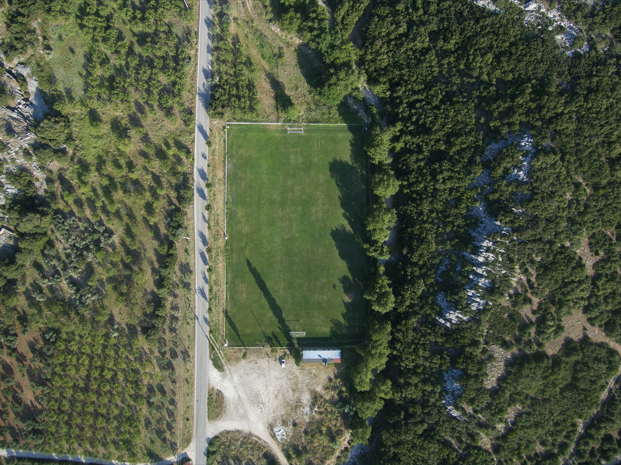 Pasto Premium Tiger en Saldos