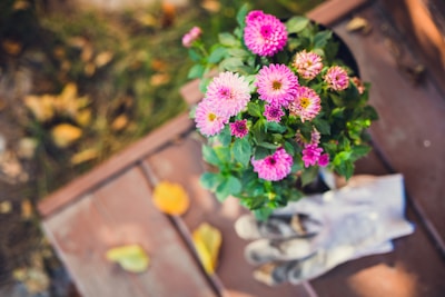 Colorful gardening gloves placed next to fresh flowers in a garden.