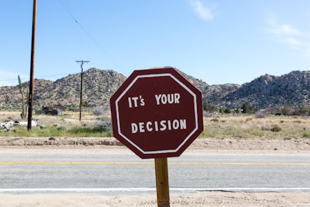 A red octagonal sign with white text saying 'It's your decision' is placed beside a road. In the background, there are desert landscapes with mountains and scattered vegetation under a clear blue sky.