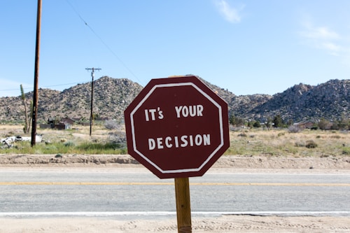 A red octagonal sign with white text saying 'It's your decision' is placed beside a road. In the background, there are desert landscapes with mountains and scattered vegetation under a clear blue sky.