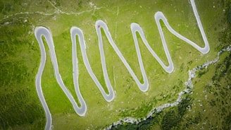 aerial photography of road