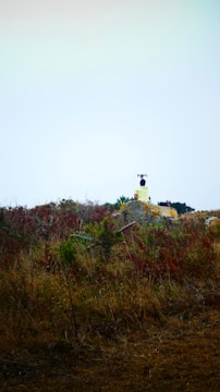A solitary figure, seen from behind, stands atop a hill surrounded by dry, brown vegetation. The person appears to be flying a drone in a clear, expansive sky with subtle hints of blue. The landscape is rugged and desolate, suggesting a rural or remote location.