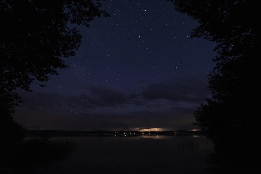 silhouette of trees near body of water at nighttime