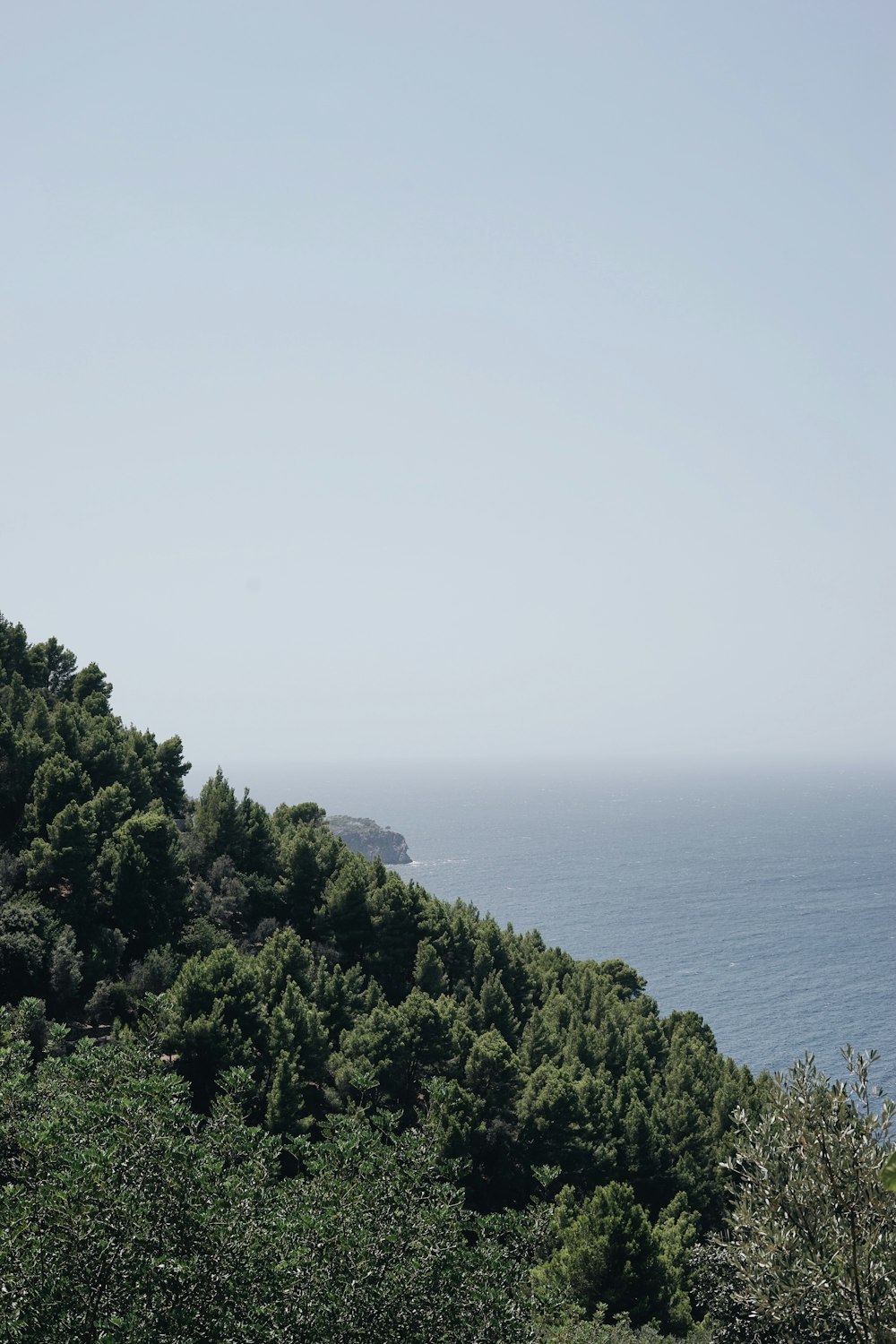 a view of the ocean from the top of a hill