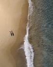 aerial photography of two persons walking along seashore during daytime