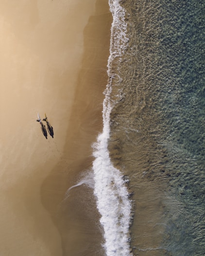 aerial photography of two persons walking along seashore during daytime