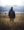 man in middle of wheat field