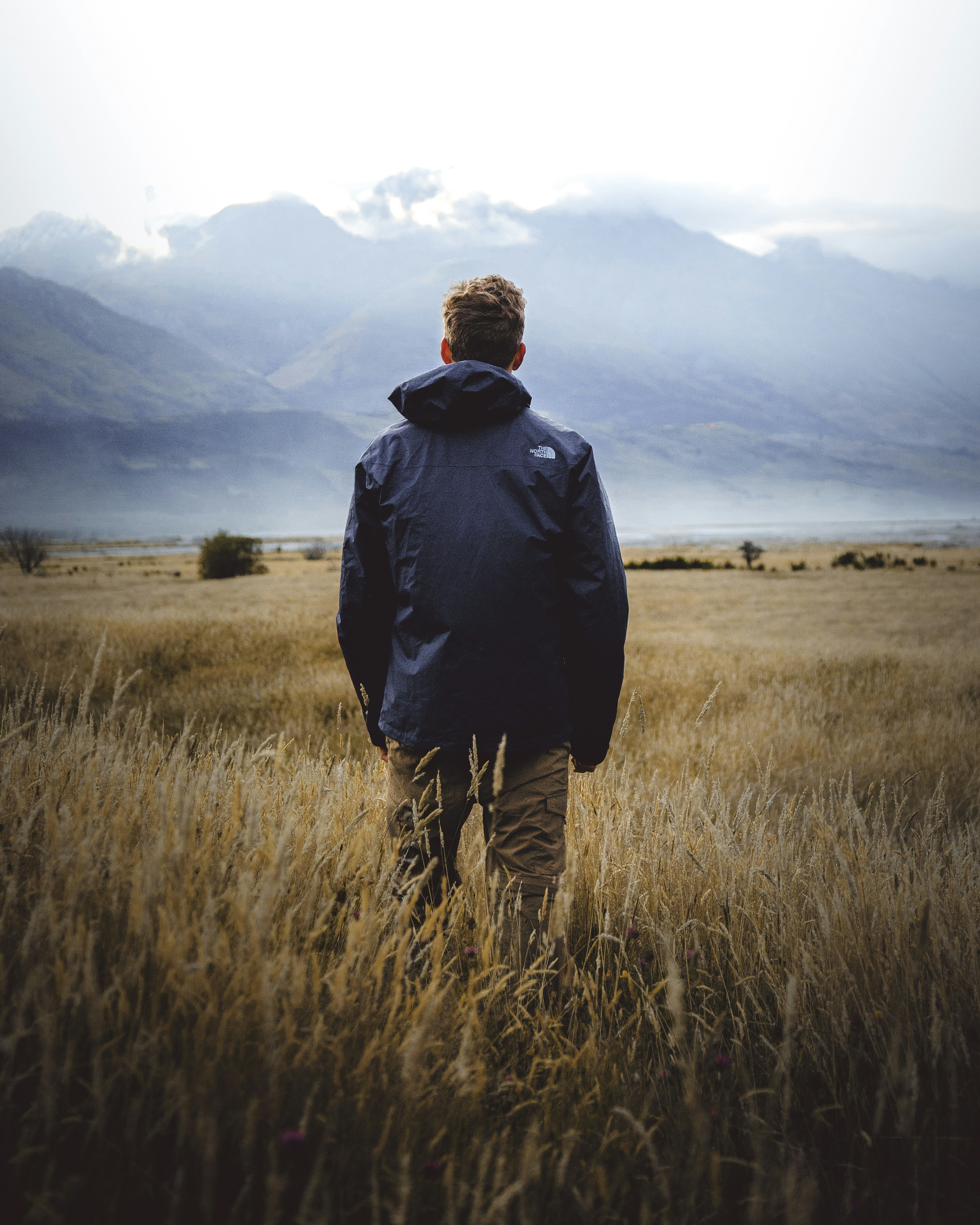 A man standing in the middle of a wheat field looking at mountains