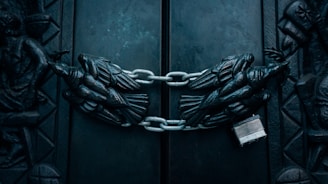bald eagle door chain lock