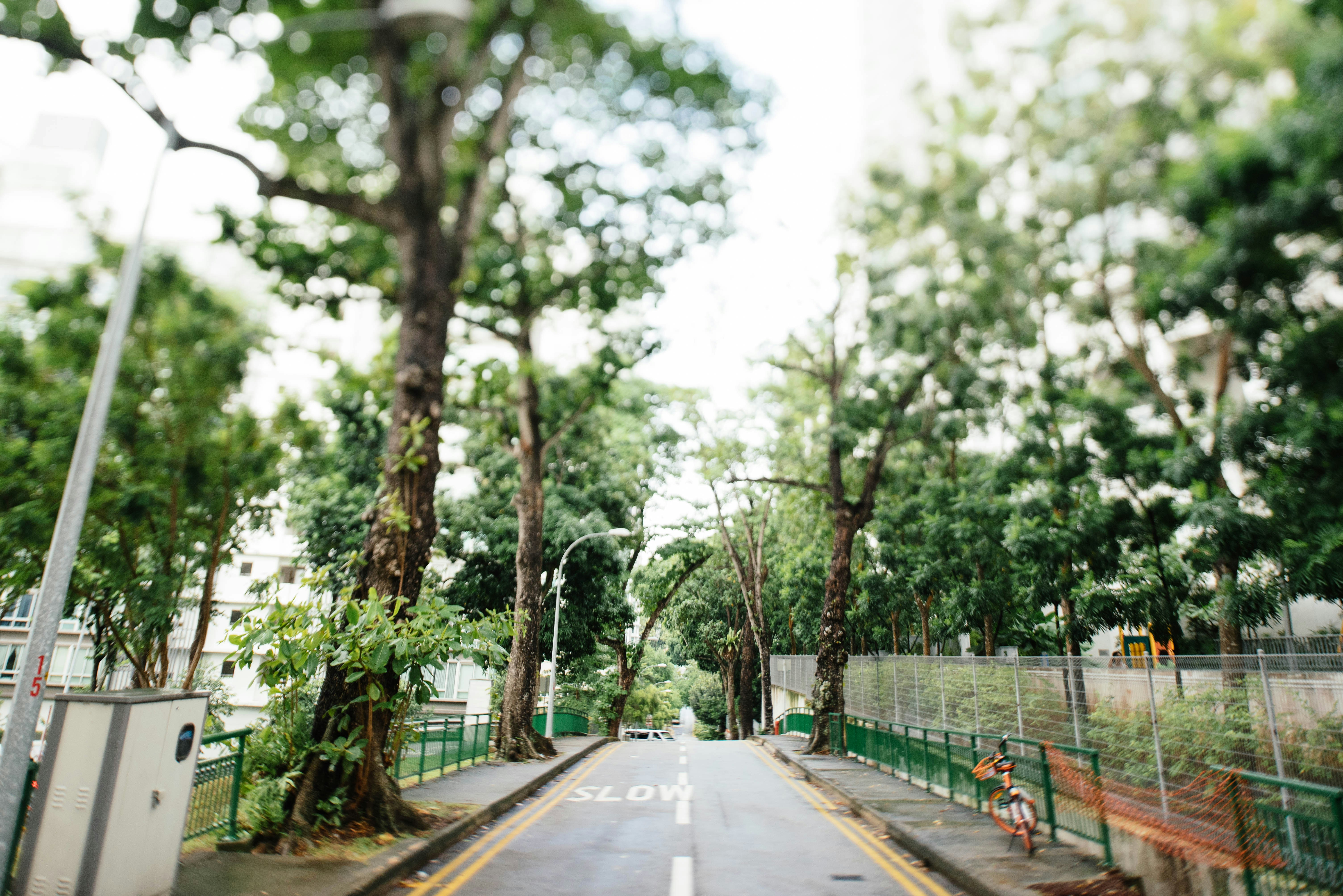 Photo by chuttersnap