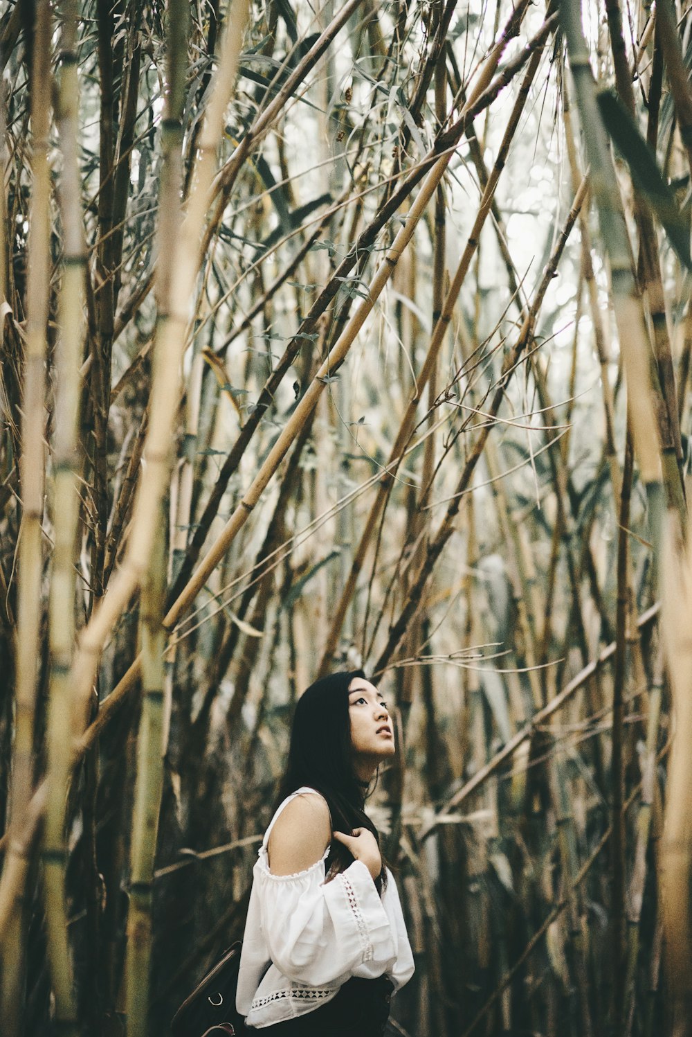 대나무 숲 안에 서 있는 흰색 차가운 어깨 상의를 입은 여자