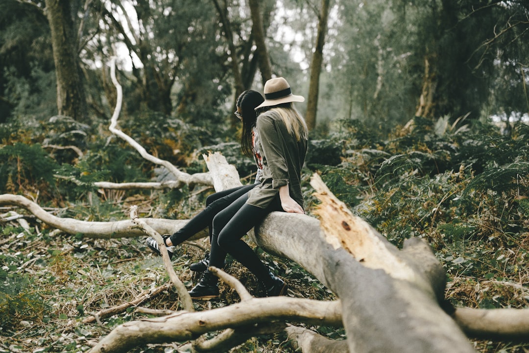 travelers stories about Old-growth forest in Secret Garden, Australia