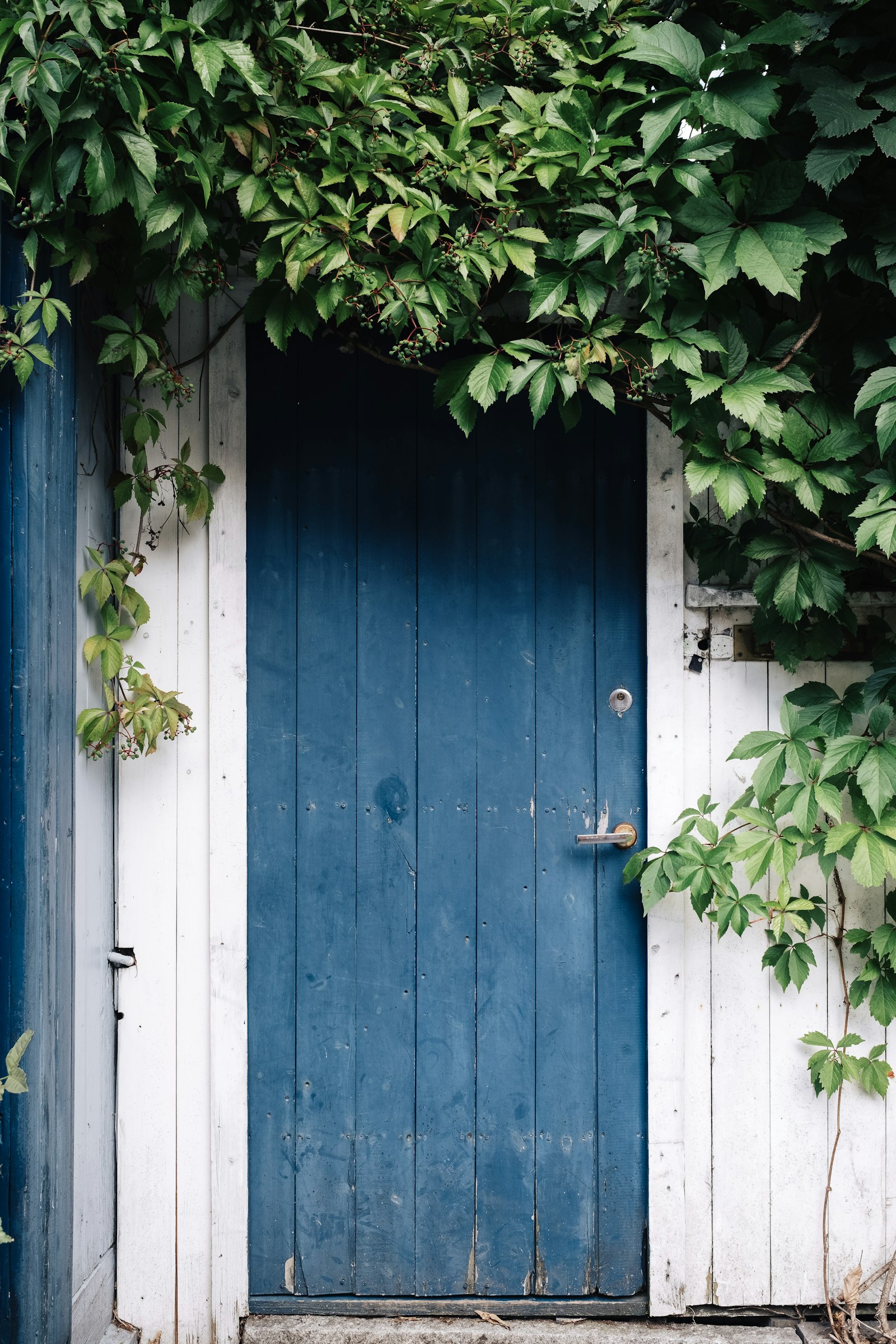 Fujifilm XF 23mm F1.4 R sample photo. Blue wooden door surrounded photography