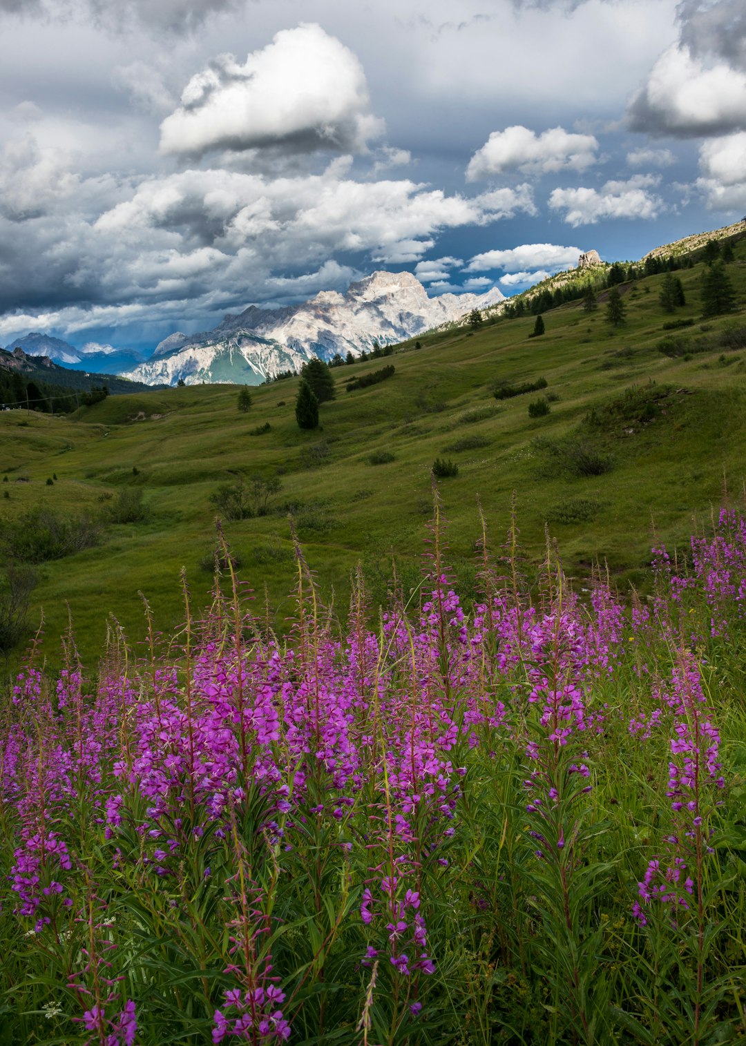 Hill photo spot Falzarego Pass Fassa Valley