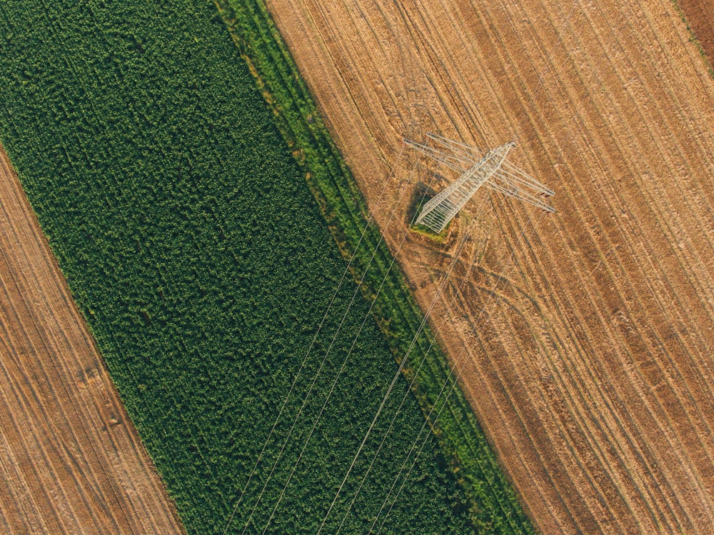 top view of farm