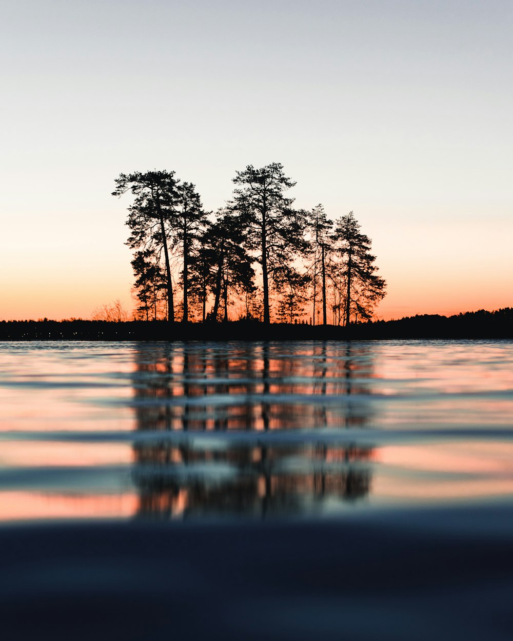 silhouette of trees between body of water and sky