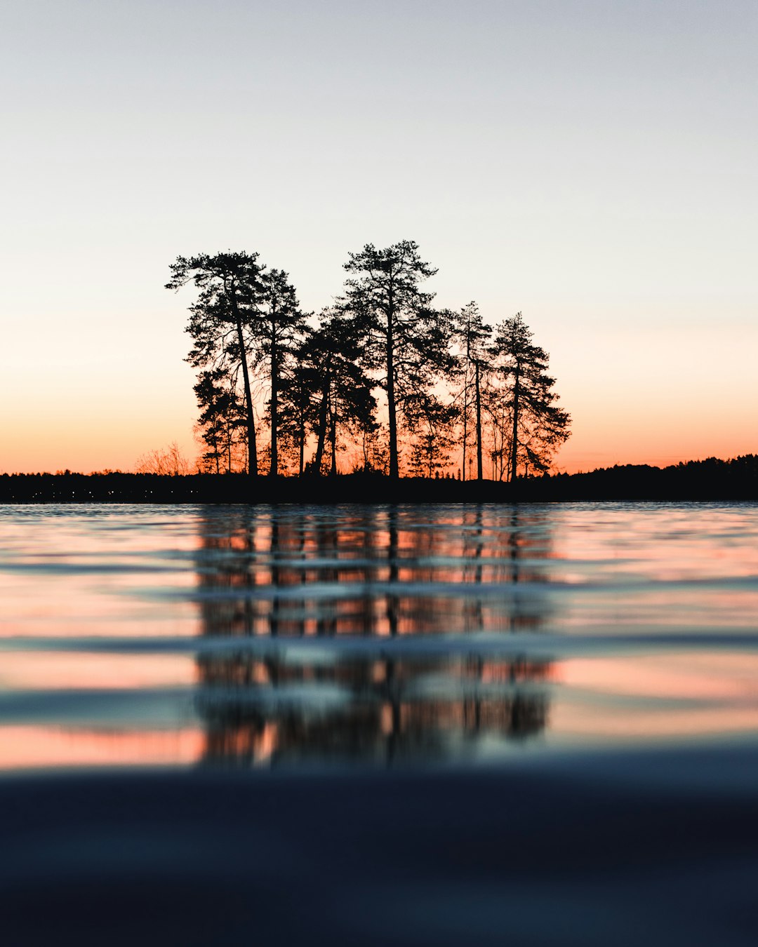 silhouette of trees between body of water and sky