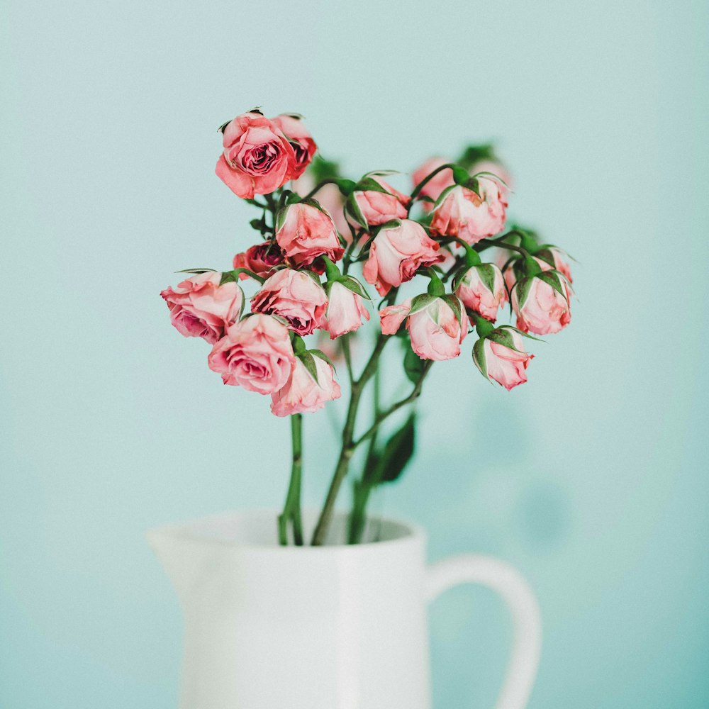 pink flowers