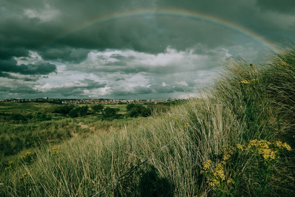 a rainbow in a cloudy sky over a field