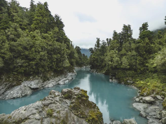 A serene view of Río Celeste winding through lush green forest under soft morning light.